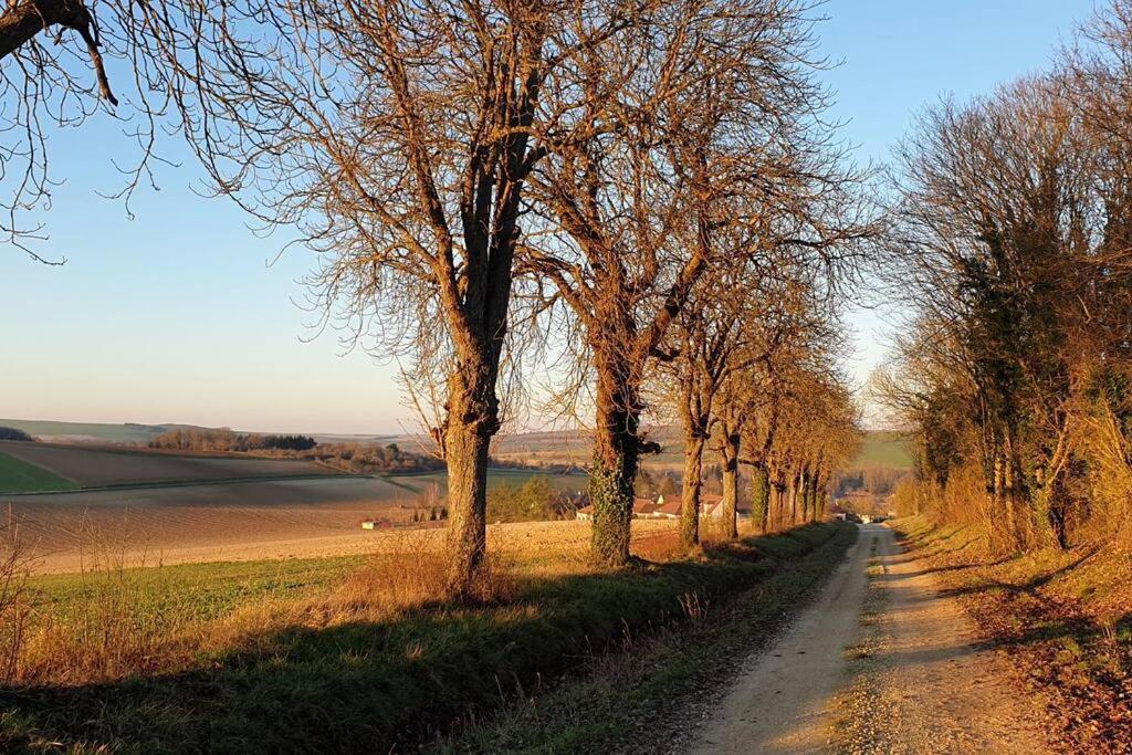 Vila Le Bellevue A 1 H 30 De Paris Et 20 Km De Troyes Estissac Exteriér fotografie